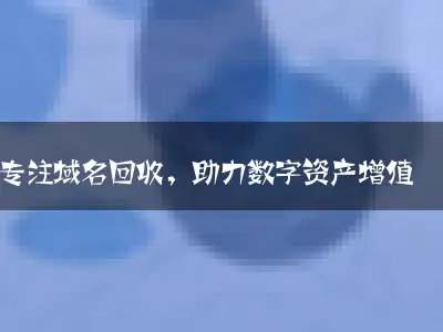 专注域名回收，助力数字资产增值